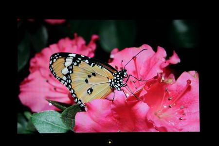 ���������������19����G900WA����(4)