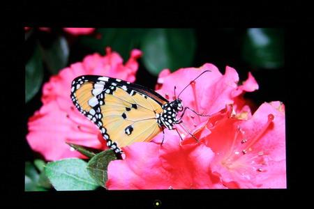 ���������������19����G900WA����(4)