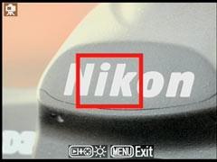 ���ϸ����˵����῵D300������ͼ��
