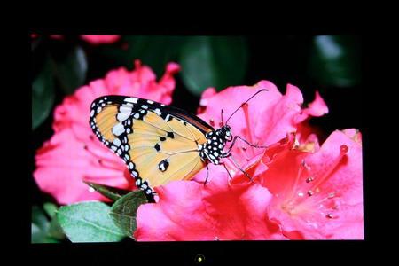 ���������������19����G900WA����(4)