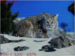 ����������ϷMP4Ŧ����ӰR90�꾡����(6)