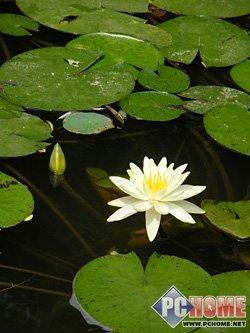 27mm���18X������ʿȫ��S8000fd����(11)