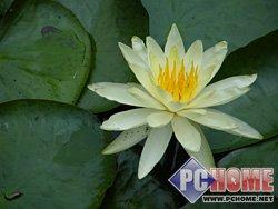 27mm���18X������ʿȫ��S8000fd����(11)