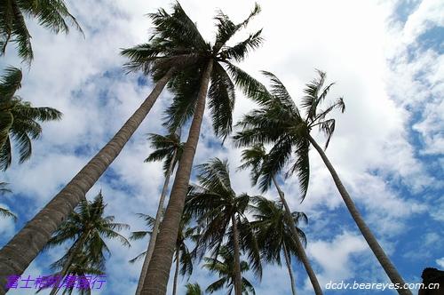 阳光、沙滩和热带鱼 泰国普吉岛游记_数码