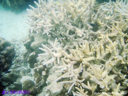 阳光、沙滩和热带鱼 泰国普吉岛游记_数码