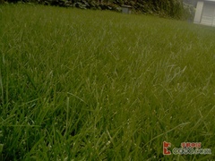 VGAʱ���ƽ����մﻬ�����ܻ�C750����(7)