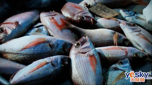 抢尽X系列风头 索尼46W300A液晶评测-液晶电