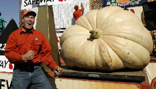 美国男子种出691公斤南瓜(图)