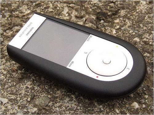 Ψʯ ǴF310