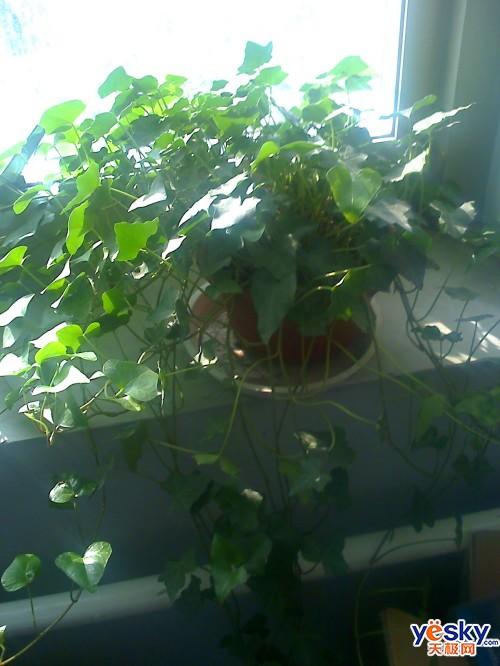 ��һ������2GB��Ħ�о������ܻ�V8����(5)