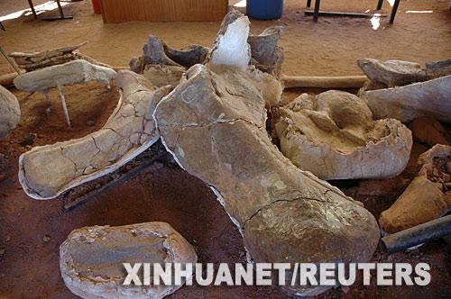 ����͢�������Ϳ�����ʯ������17��(��ͼ)