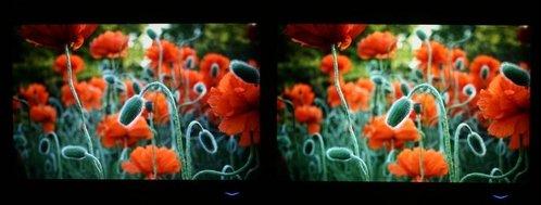 �ԱȶȾ����԰��Ȼ�Һ��֮·����η�