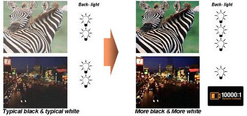 �ԱȶȾ����԰��Ȼ�Һ��֮·����η�(3)