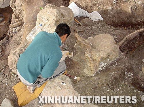 ����͢�������Ϳ�����ʯ������17��(��ͼ)