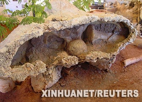 ����͢�������Ϳ�����ʯ������17��(��ͼ)