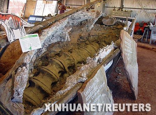 ����͢�������Ϳ�����ʯ������17��(��ͼ)