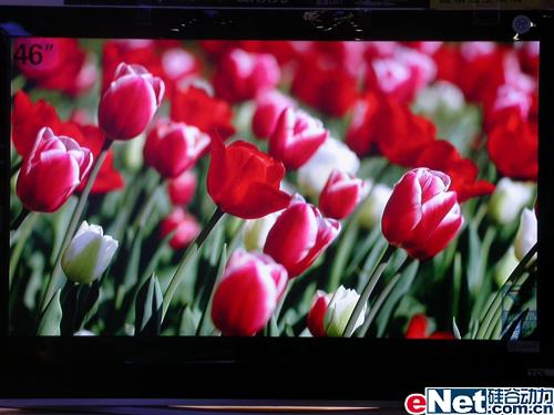 ֻѡ�ʺ��Լ��İ˿�����Һ�������Ƽ�(6)