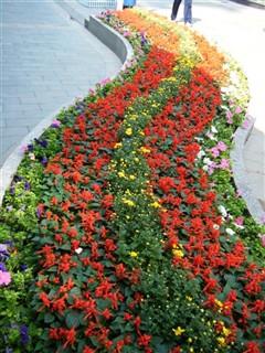 谁将称王?索尼T200\/富士Z100样片PK_数码