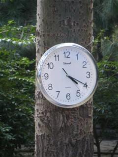 谁将称王?索尼T200\/富士Z100样片PK_数码