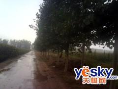 �����������������д���ֻ�9@9m����(7)