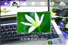 ��������DC��ǿ��NV20&NV8��ϸ����(7)