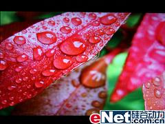 ������5000:1����LG194WT�Ա�����