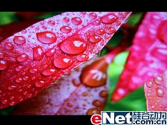 ������5000:1����LG194WT�Ա�����