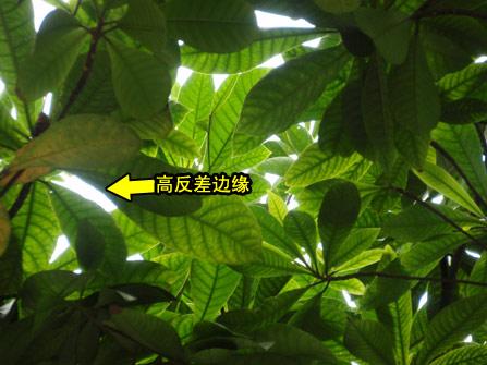 全面提升战斗力奥巴卡片μ830深入评测(10)