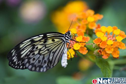 һ��һ�������΢�ྵͷ��������˼�(9)