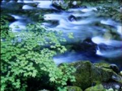 酷似苹果iPhone精巧型魅音MP3评测报告(2)