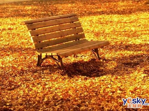 ����MP3�����ﶬ����������ѡ��С����