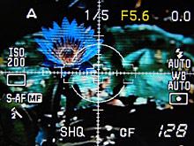 MM�������ε������ְ�˹E-410����(4)