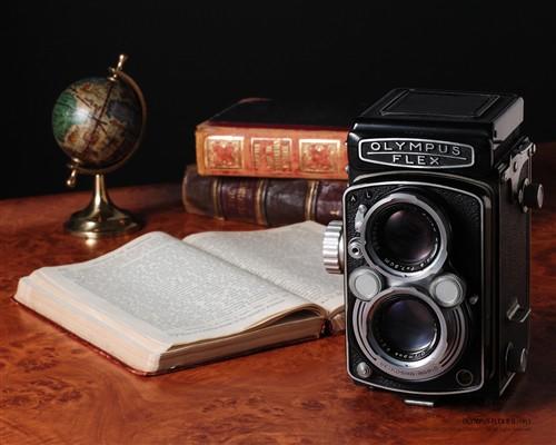 奥林巴斯单反数码相机镜头欣赏-奥林巴斯上海