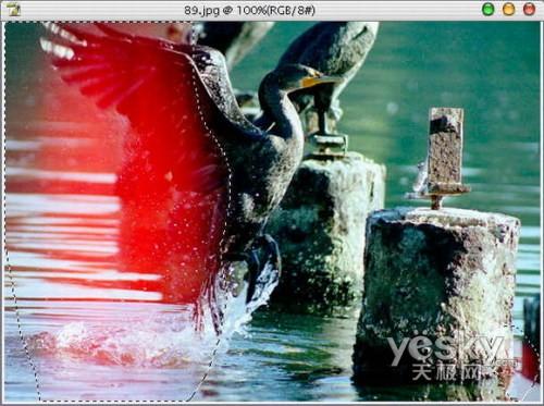 Photoshop�����޸��ع���Ƭ����