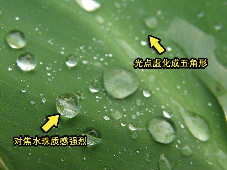 继续引领巨炮风潮奥林巴斯SP560评测(12)