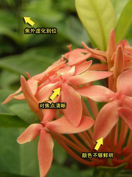 继续引领巨炮风潮奥林巴斯SP560评测(12)