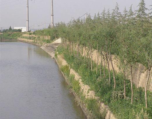 生态环保新举措:自嵌式植生挡土墙问世