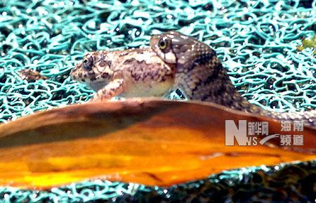 ��ͼ����������ȫ����