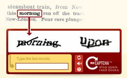 recaptcha_book.png