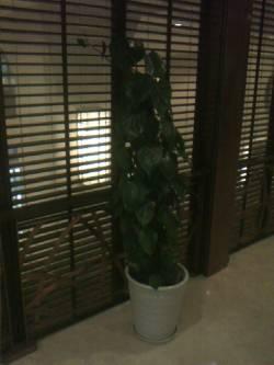 带键盘的PPC i-mate 8501评测报告