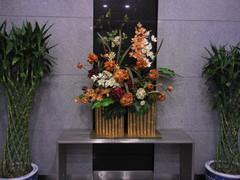 功能与画质齐飞 08年度5大拍照手机横评