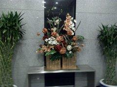 功能与画质齐飞 08年度5大拍照手机横评