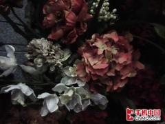 触控小精灵 酷派天翼手机S100完全评测