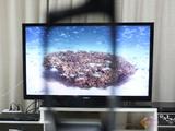 客厅终结者 索尼NX810系55寸3D电视评测