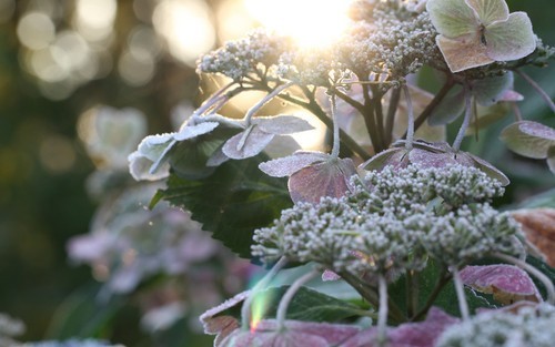 让桌面清凉一夏 Win7夏日桌面主题下载