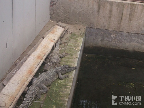 1.7GHz双核720p靓屏 索尼LT26ii初体验 