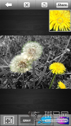 iPhone拍照Color Effects试用