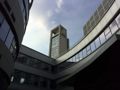 P6样张