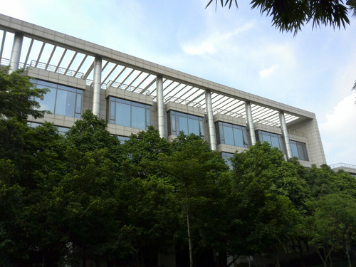 P6样张