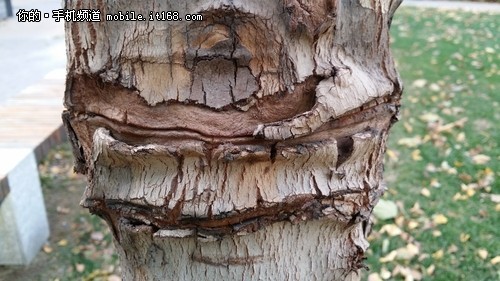 1300万像素镜头 三星W2014样张